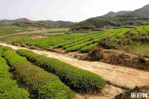 福建周边小村庄游玩攻略 家庭自驾游