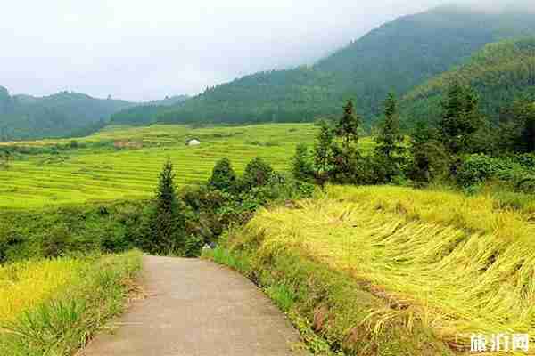 广东连南自驾游一日游玩攻略 广东连南自驾游一日游玩攻略