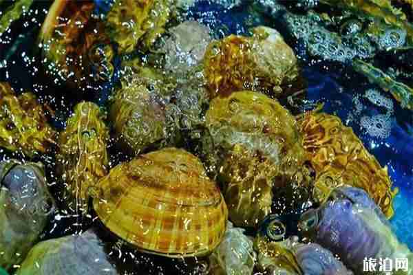 珠海东澳岛 吃+住+游玩景点