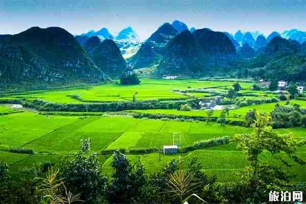 万峰林风景区在哪里  门票价格是多少