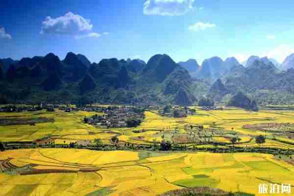 贵州黔西南美食哪些  2019贵州黔西南美食攻略