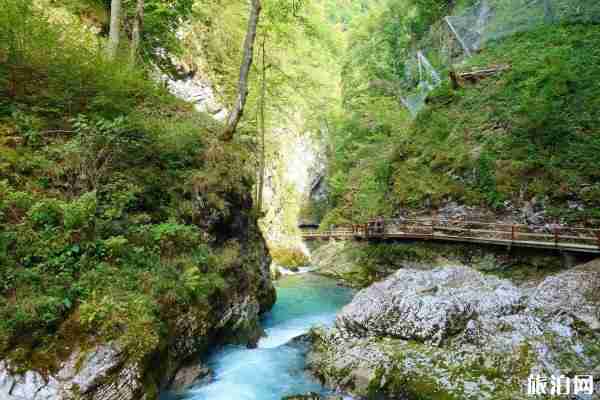 马岭河大峡谷门票价格是多少  马岭河大峡谷游玩攻略 马岭河大峡谷门票价格是多少  马岭河大峡谷游玩攻略