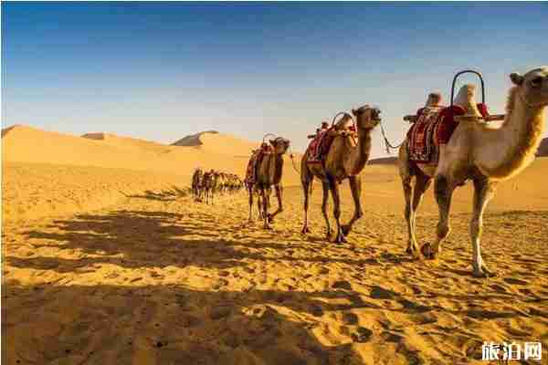 东宫取景地旅游攻略 东宫取景地旅游攻略