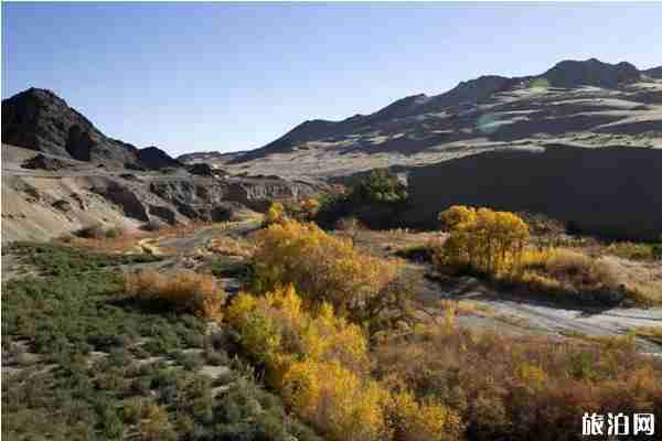 东宫取景地旅游攻略 东宫取景地旅游攻略