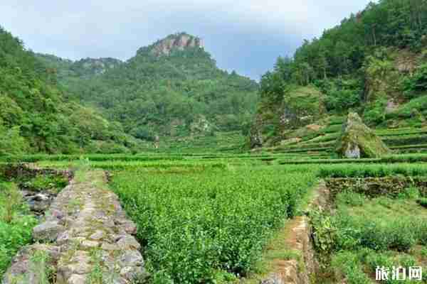 东宫取景地旅游攻略 东宫取景地旅游攻略