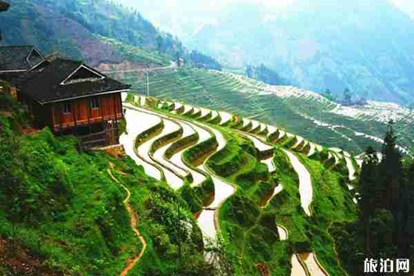 肇兴侗寨好玩吗 2019肇兴侗寨旅游攻略 肇兴侗寨好玩吗 2019肇兴侗寨旅游攻略