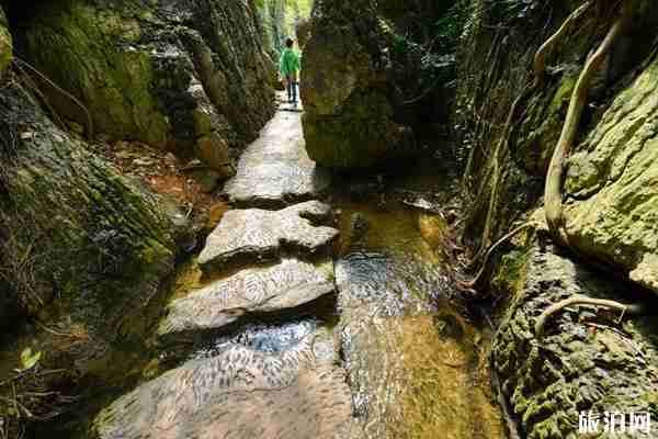 2019天星桥风景区游玩攻略 2019天星桥风景区游玩攻略