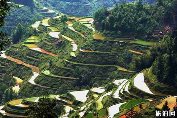 岜沙苗寨在哪里 岜沙苗寨好玩吗 岜沙苗寨在哪里 岜沙苗寨好玩吗