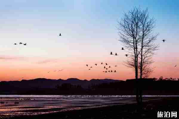 威宁草海最佳旅游时间是什么时候 2019威宁草海旅游攻略 威宁草海最佳旅游时间是什么时候 2019威宁草海旅游攻略