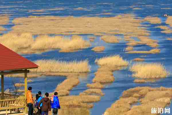 威宁草海最佳旅游时间是什么时候  2019威宁草海旅游攻略