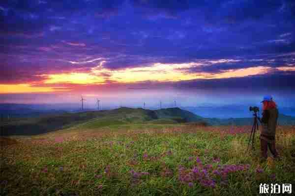 韭菜坪什么时候最漂亮  韭菜坪门票多少钱