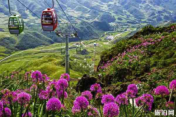 韭菜坪什么时候最漂亮  韭菜坪门票多少钱