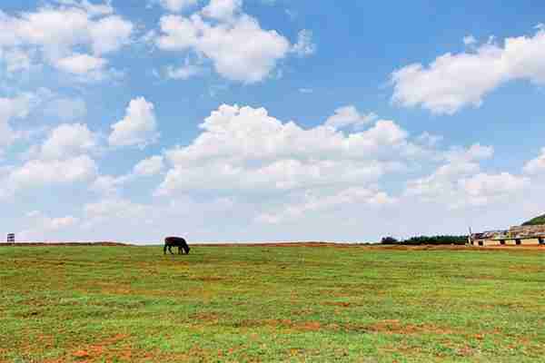 寻甸北大营草原花费有哪些 那里是拍摄无问东西的地方吗