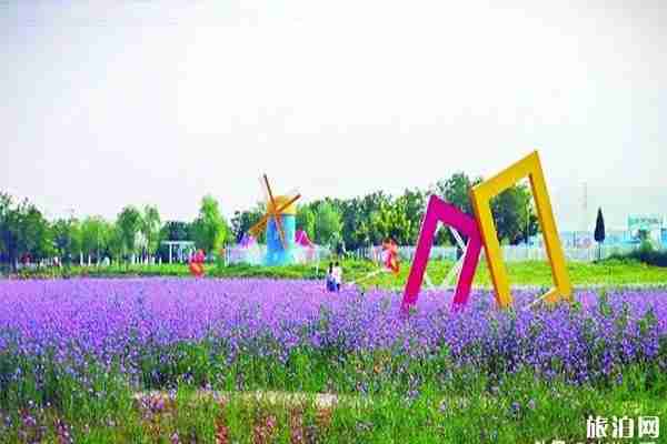 太原王吴村网红桥在哪里