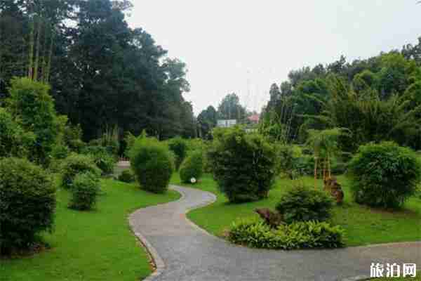 昆明植物園幾點開門 門票+交通 昆明植物園幾點開門 門票+交通