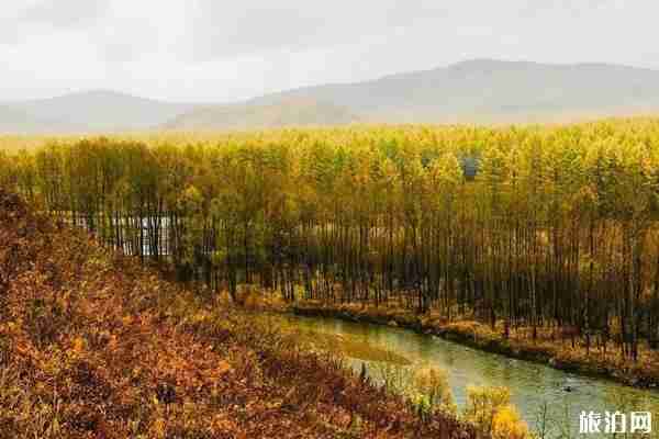 呼伦贝尔秋季旅游线路推荐