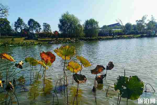 杭州湘湖一日游玩攻略
