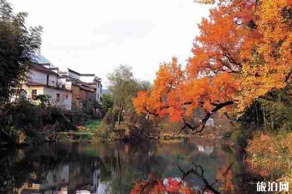 九月婺源旅游攻略 九月婺源旅游攻略