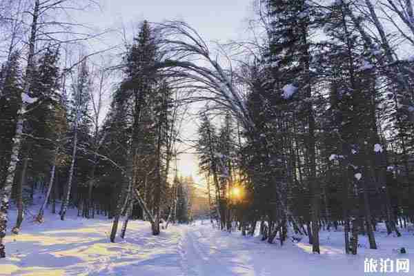 阿勒泰在哪里 怎么去阿勒泰 阿勒泰在哪里 怎么去阿勒泰