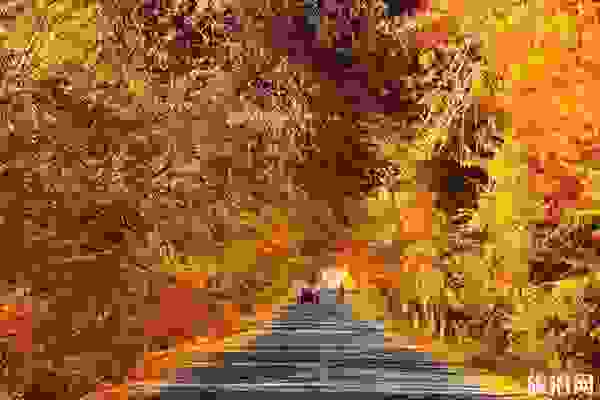 阿勒泰城市內部交通+景點介紹