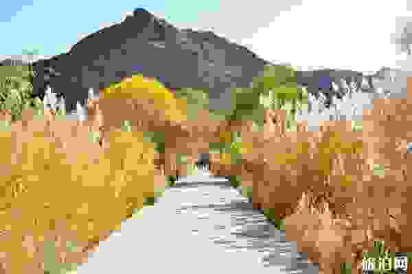 阿勒泰城市內部交通+景點介紹