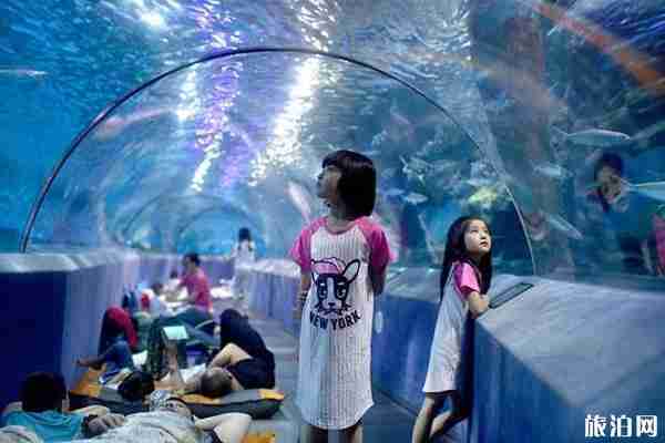 2019南京親子游玩攻略 2019南京親子游玩攻略