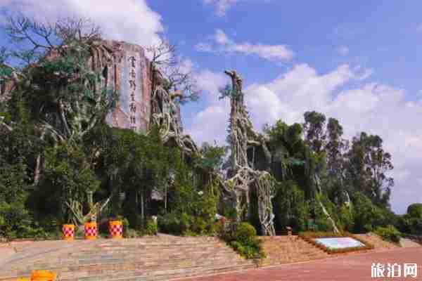 云南野生动物园好玩吗 怎么玩 云南野生动物园好玩吗 怎么玩