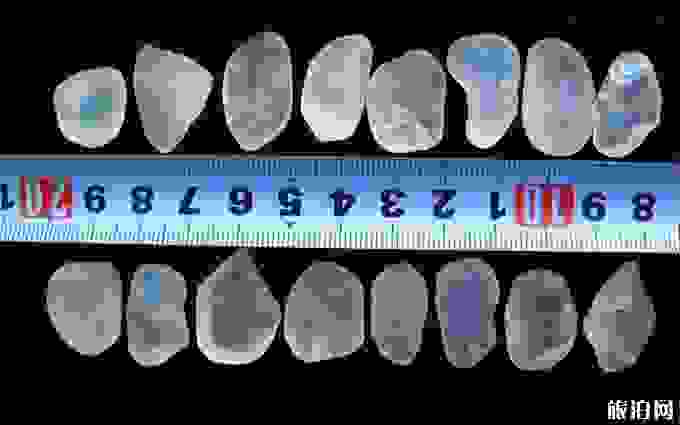 阿勒泰自驾游注意事项+纪念品推荐
