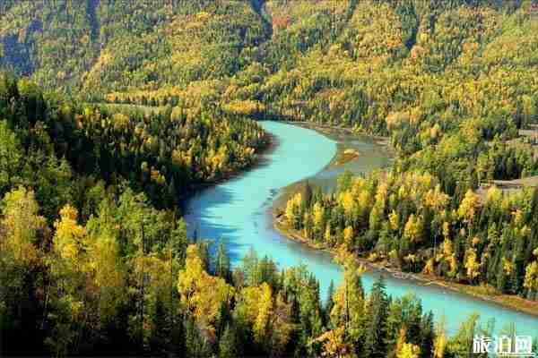 喀纳斯旅游门票攻略+住宿指南+最佳季节 喀纳斯旅游门票攻略+住宿指南+最佳季节