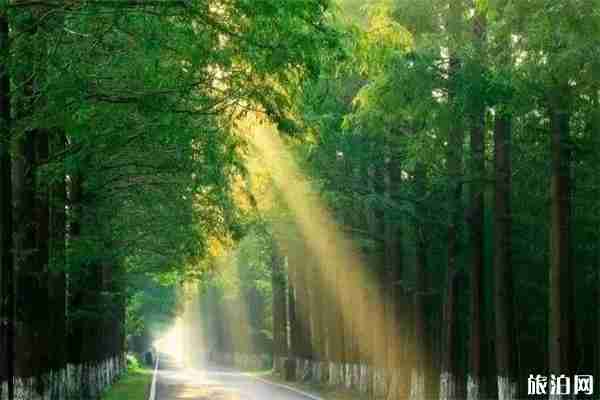 徐州云龙湖周边免费的景区推荐 徐州云龙湖周边免费的景区推荐