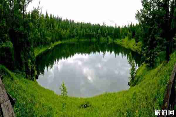 阿尔山国家森林公园可以开车进去吗 附景区交通图 阿尔山国家森林公园可以开车进去吗 附景区交通图