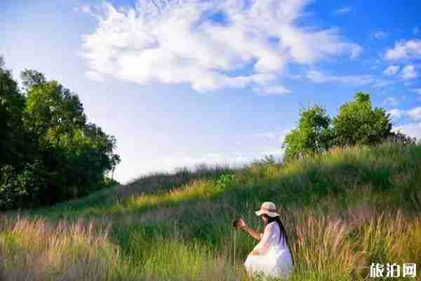 佛山秋季赏花攻略 佛山秋季赏花攻略