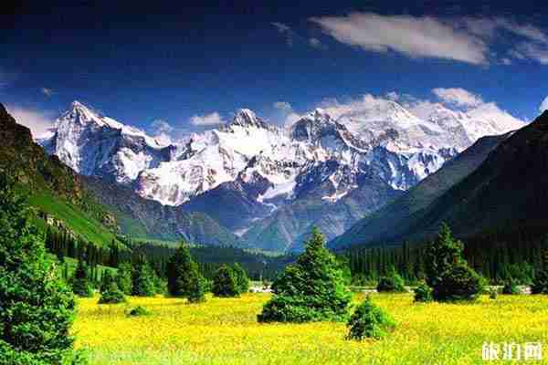 新疆必买的特产的有哪些+购物地点