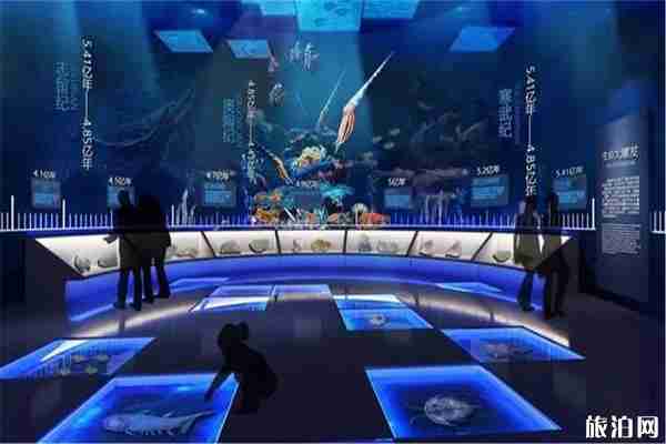 宜昌博物馆开放时间 门票+展馆介绍