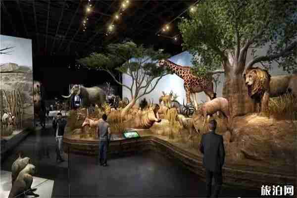 宜昌博物馆开放时间 门票+展馆介绍