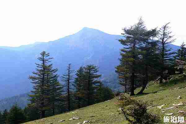 吕梁爬山可以去哪些地方 吕梁爬山可以去哪些地方