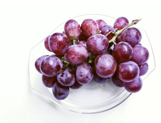 2019年秋天郑州葡萄采摘园在哪里(采摘期+地址+品种) 2019年秋天郑州葡萄采摘园在哪里(采摘期+地址+品种)