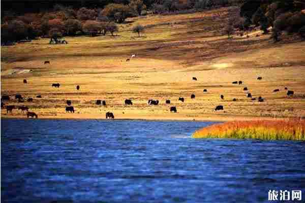 香格里拉景点攻略 香格里拉有什么好玩的 香格里拉景点攻略 香格里拉有什么好玩的