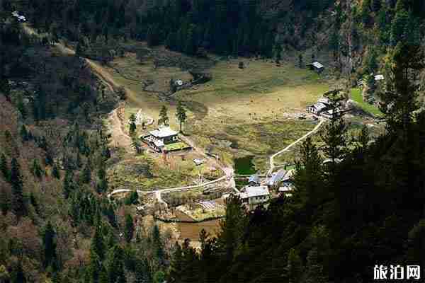 云南雨崩村在哪里 云南雨崩村旅游攻略