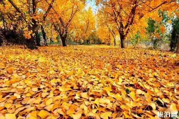 徐州有哪些比较红的景点 徐州值得一看的景点