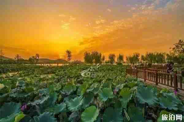 徐州有哪些比较红的景点 徐州值得一看的景点