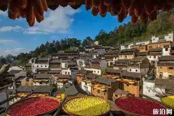 江西秋天哪里最好玩