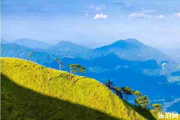 江西秋天哪里最好玩