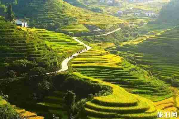 江西秋天哪里最好玩