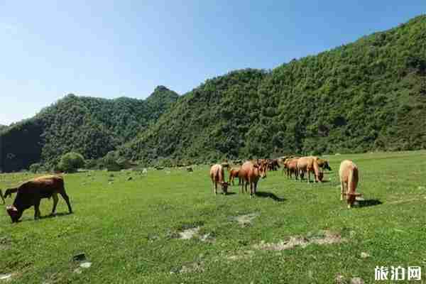 汉中周末游玩景点有哪些 汉中小众景点
