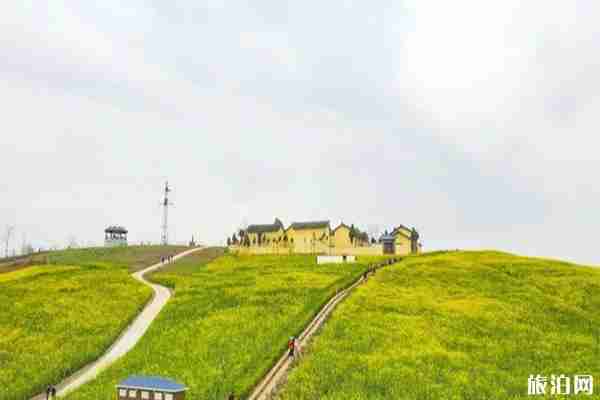 汉中周末游玩景点有哪些 汉中小众景点