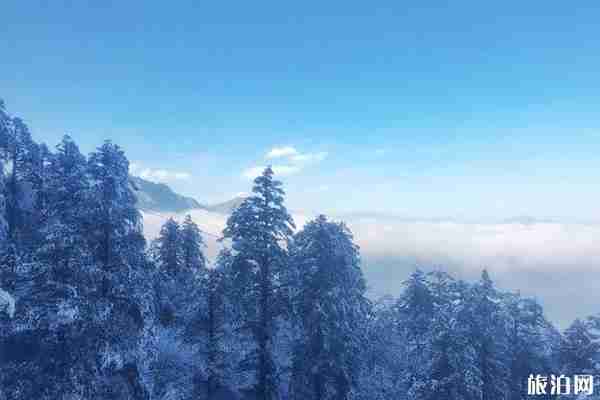 2019年8月26日至10月31日西岭雪山暂停营业+游玩信息