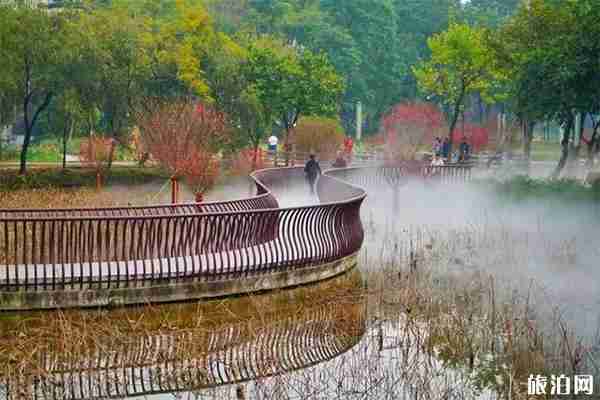 顺德周边网红打卡景点有哪些