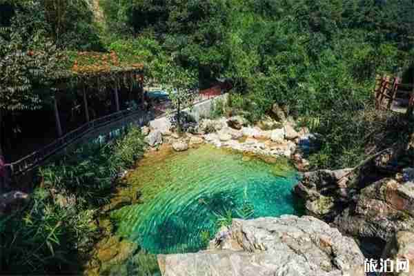 顺德周边自驾游景点推荐 顺德周边自驾游景点推荐