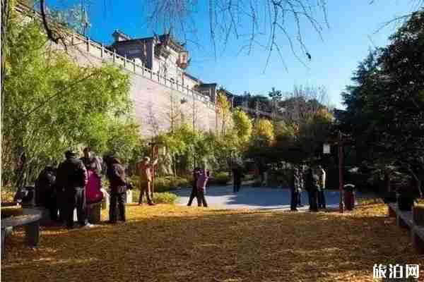 镇江哪里有银杏树观赏 镇江哪里有银杏树观赏